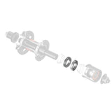 Kit manutenzione Dt Swiss Ratchet System SL 54T - L