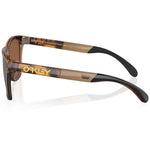 Oakley Frogskins Range sunglasses - Brown tortoise prizm tungsten