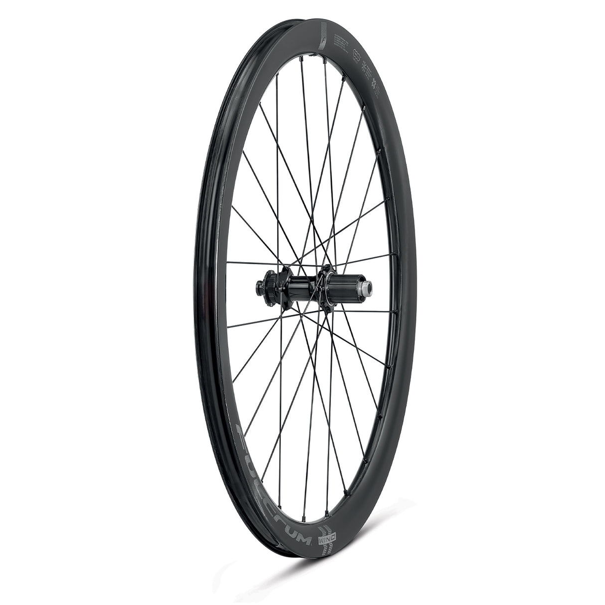 Ruote Fulcrum Wind 42 DB disc - Nero - B