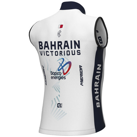 Short Sleeve Jersey Man Bahrain Victorious Campione Bahrain – Alé Cycling Short Sleeve Jersey Man Bahrain Victorious Campione Bahrain – Alé Cycling
