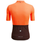 Maglia Santini Color Riga - Arancio - P