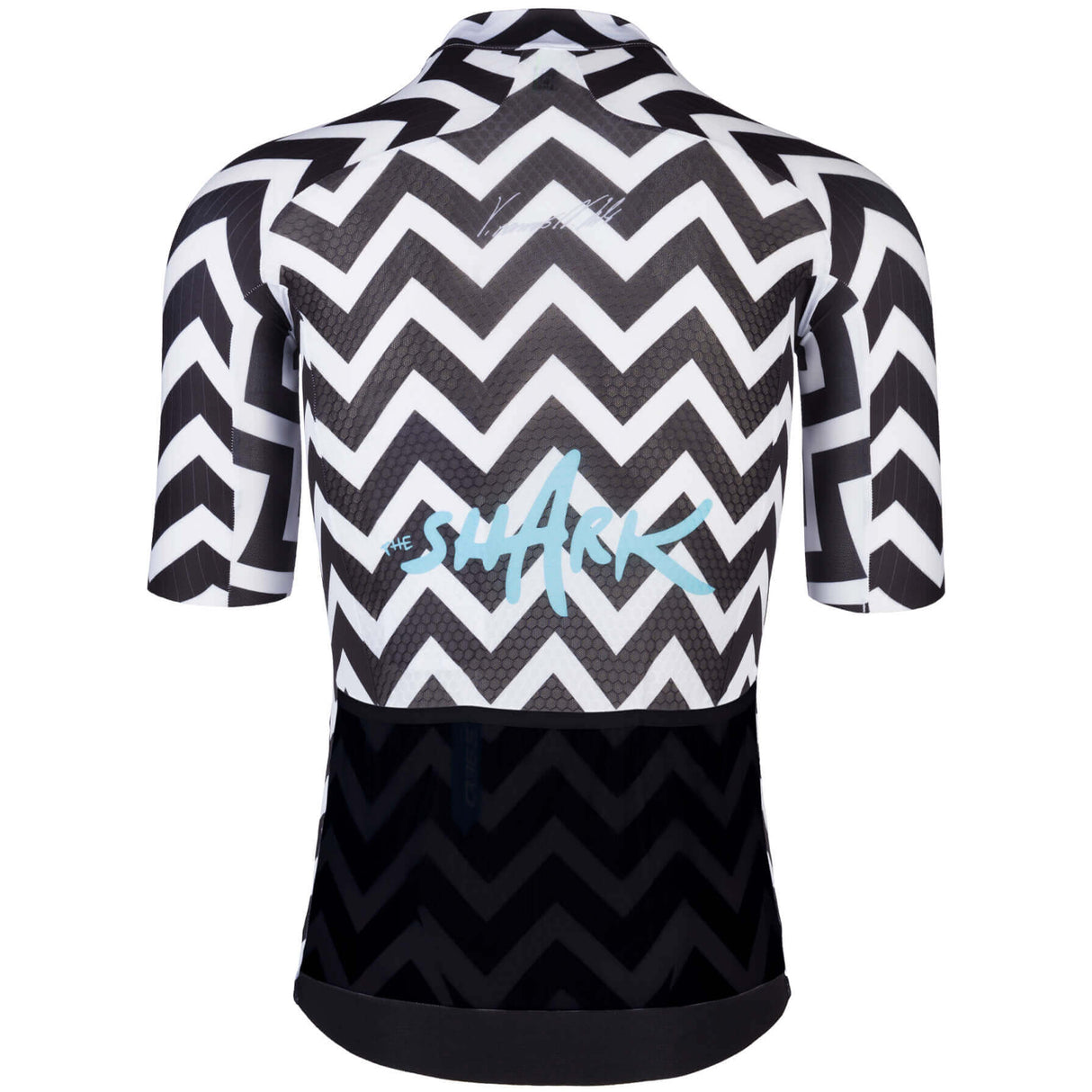 Maglia Q36.5 R2 Light - Nibali Shark - N