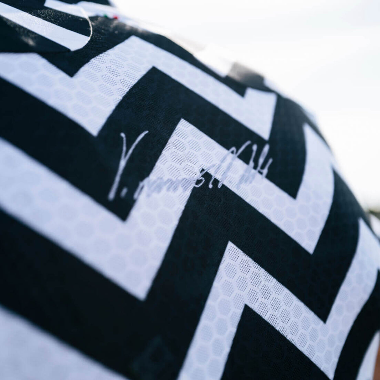 Maglia Q36.5 R2 Light - Nibali Shark - Q