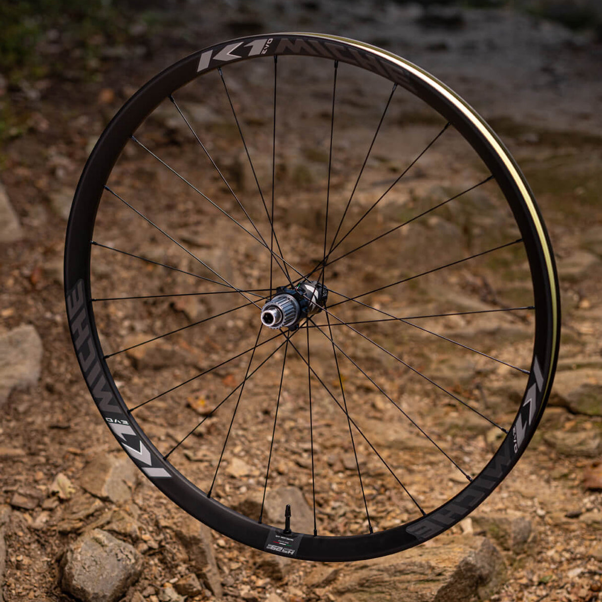 Ruote Miche K1 Evo Boost 29 SPLINE Tubeless - B