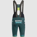 Sportful Bora Hansgrohe 2024 LTD bibshort - Green