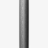 Copertoncino Pirelli Cinturato Sport - 700x28 - P