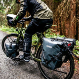 Coppia borse posteriori Ortlieb Back-Roller - Verde - H