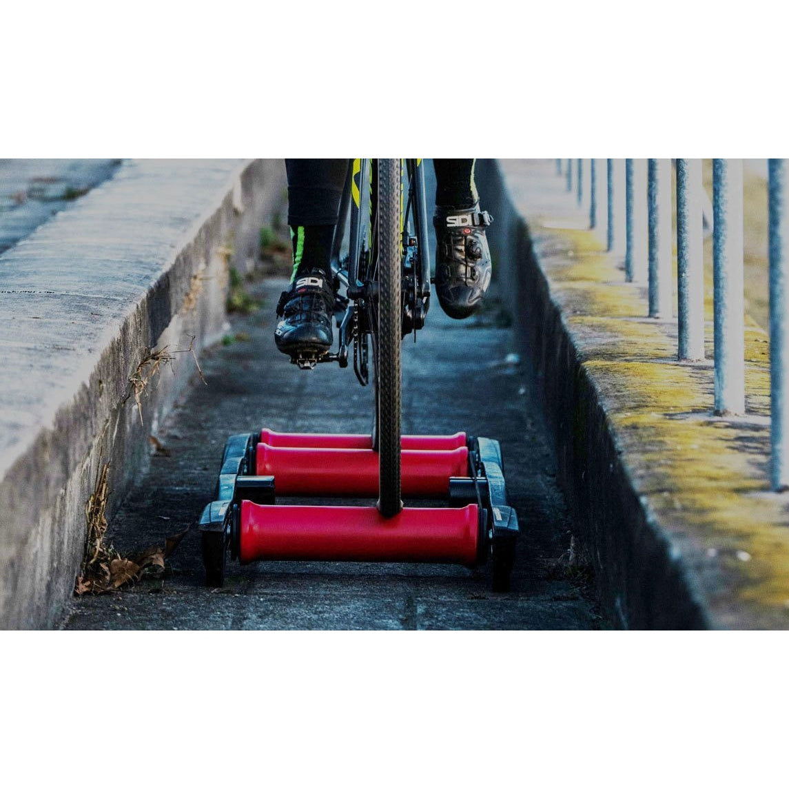 Rullo parabolico Elite Arion - M