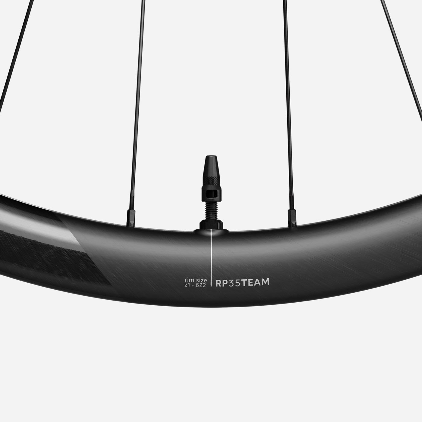 Ruote Per Bici Pieghevole 20x1.75 Nere, Cerchi In Alluminio, Anteriori E Posteriori - Cicli Ferrareis