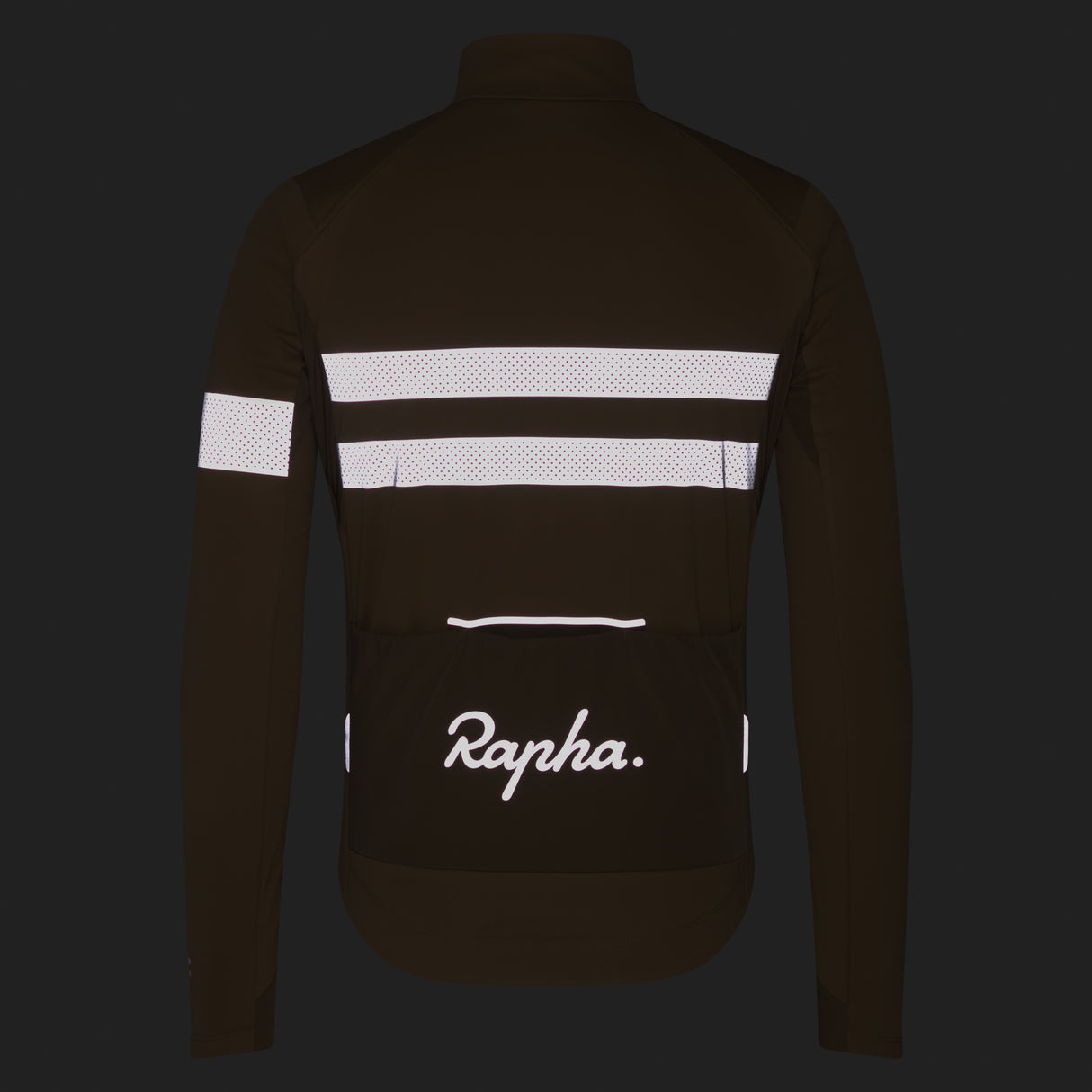 Maglia maniche lunghe Rapha Brevet Windstopper - Beige - E