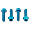 WolfTooth Bottle Cage Screws Aluminum - Light Blue
