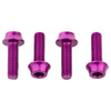 WolfTooth Bottle Cage Screws Aluminum - Purple