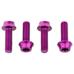 WolfTooth Bottle Cage Screws Aluminum - Purple
