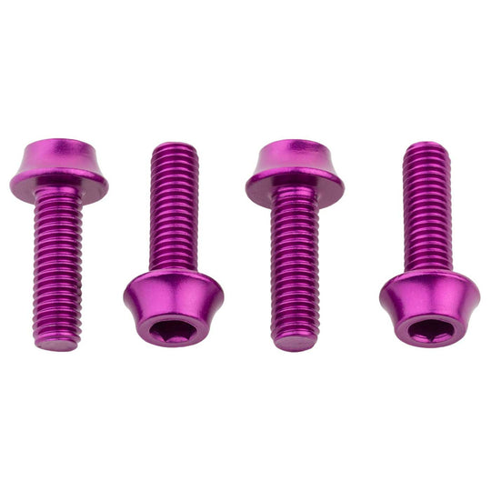 Vis en aluminium pour porte-bidon WolfTooth - Violet