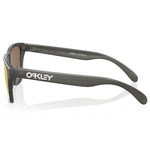 Oakley Frogskins XS sunglasses - Matte grey prizm polar