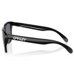 Oakley Frogskins sunglasses - Polished black prizm