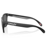 Oakley Frogskins Brille - Matte schwarz prizm polar