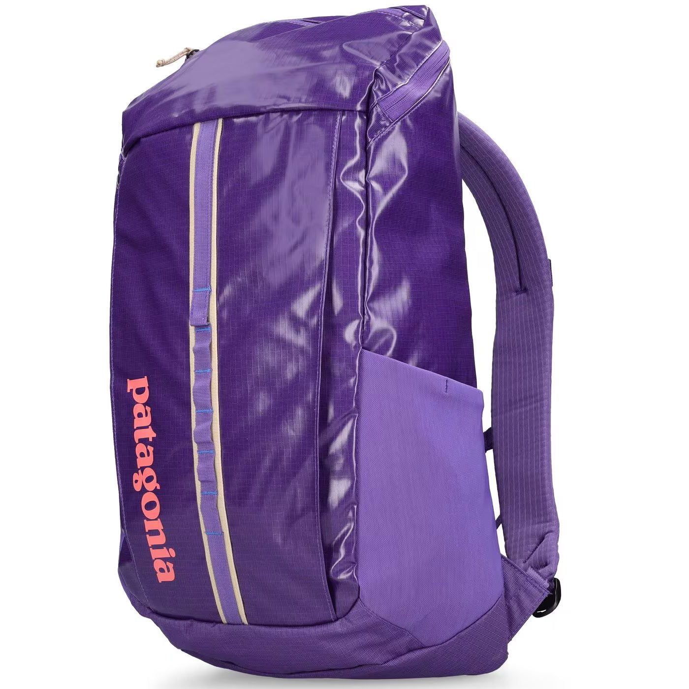 Patagonia Black Hole Pack 25L Backpack Purple All4cycling