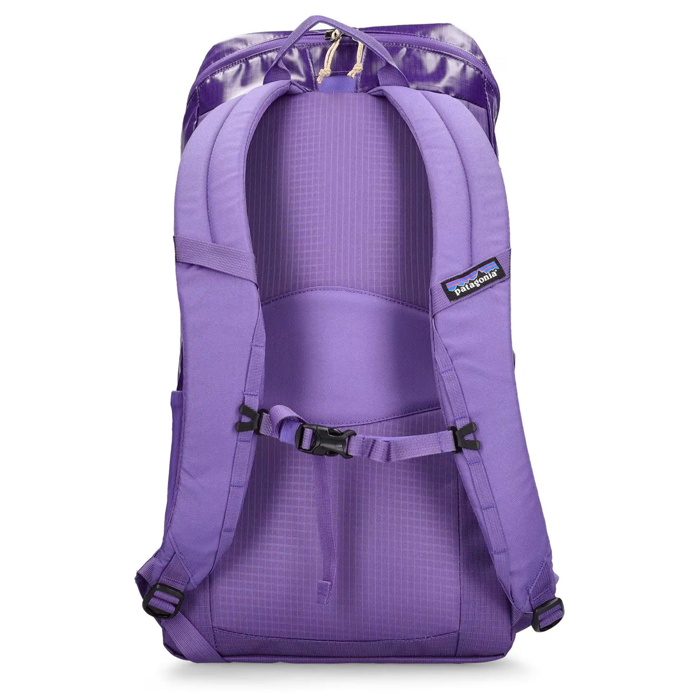 Patagonia Black Hole Pack 25L Backpack Purple All4cycling