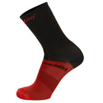 Paris Roubaix socks