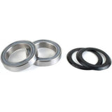 Cuscinetti Campagnolo Guarniture Power-Torque FC-AT012 - P