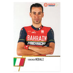 Cartolina Vincenzo Nibali -  Bahrain Merida 2017