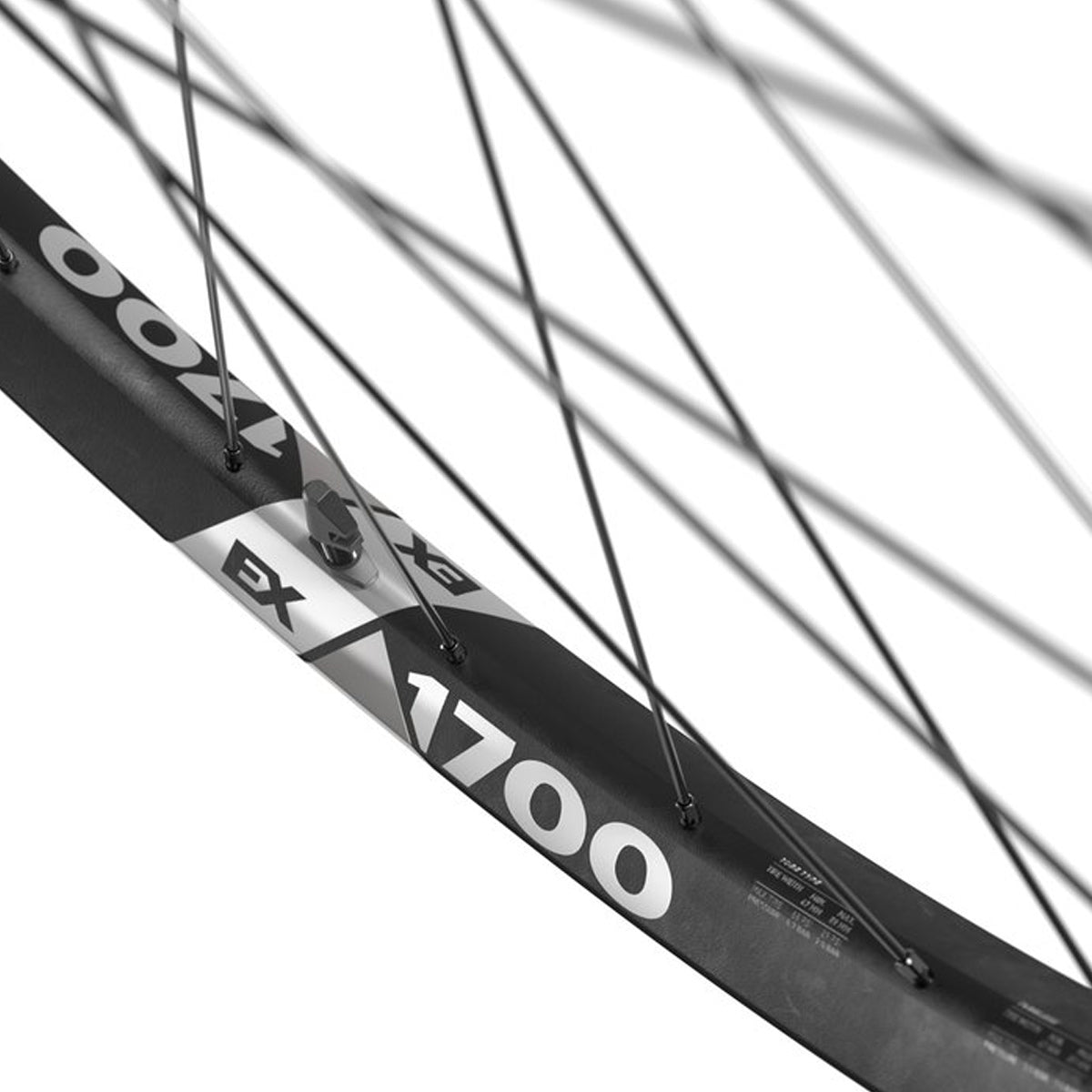 Ruote Dt Swiss EX 1700 Spline 29 CL Boost - Nero