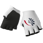 Ale Groupama FDJ 2024 gloves