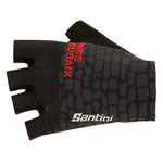 Paris Roubaix gloves