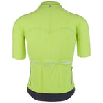 Q36.5 L1 Pinstripe X jersey - Lime