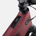 Specialized Turbo Levo Expert - Brown