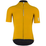 Q36.5 Pinstripe Pro jersey - Yellow