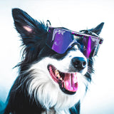 Occhiali Pit Viper The Originals - Night Fall - C