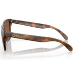 Oakley Frogskins sunglasses - Matte Brown Tortoise Prizm Tungsten
