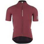 Maillot Q36.5 Pinstripe Pro - Rouge fonce