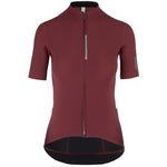 Maillot mujer Q36.5 Pinstripe Pro - Bordeaux