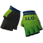 Slovenian national 2022 gloves