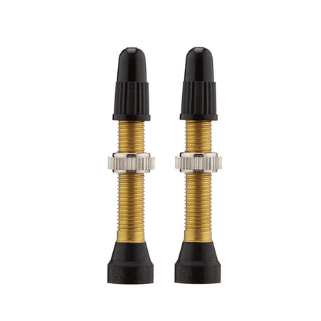 Valvole Presta WTB 34mm - Ottone